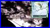 A Journey Into The Microworld Via A Nikon Eclipse 200 Microscope And A Canon Hv20 Camcorder