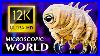 Microscopic World 12k Ultra Hd