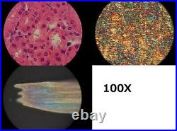 Nikon BD Plan 5X 10X 20X 40X 100X DIC Microscope M26 Objective Lens Nomarski
