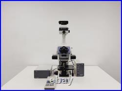 Nikon Eclipse E800 Microscope System with Plan Apo 40/60/100, V-PS100E Lab