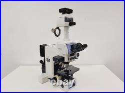 Nikon Eclipse E800 Microscope System with Plan Apo 40/60/100, V-PS100E Lab