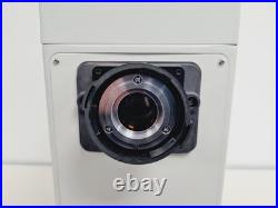 Nikon Eclipse E800 Microscope System with Plan Apo 40/60/100, V-PS100E Lab