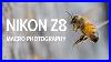 Nikon Z8 Macro Photography Photographing Wild Honey Bees