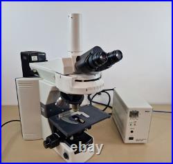 Nikon eclipse 80i fluorescence microscope with plan fluor objectives