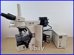 Nikon eclipse 80i fluorescence microscope with plan fluor objectives