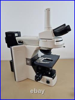 Nikon eclipse 80i fluorescence microscope with plan fluor objectives