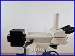 Nikon eclipse 80i fluorescence microscope with plan fluor objectives